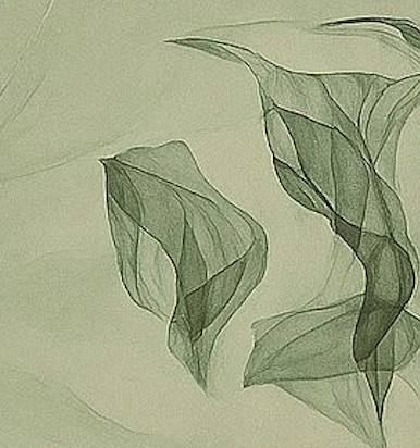 Abstract green design on a light green background