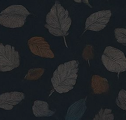 Pattern of leaves on a dark background